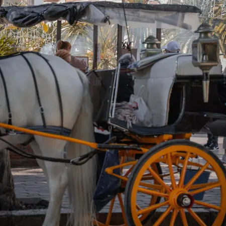 Appartamento Picasso Premium *